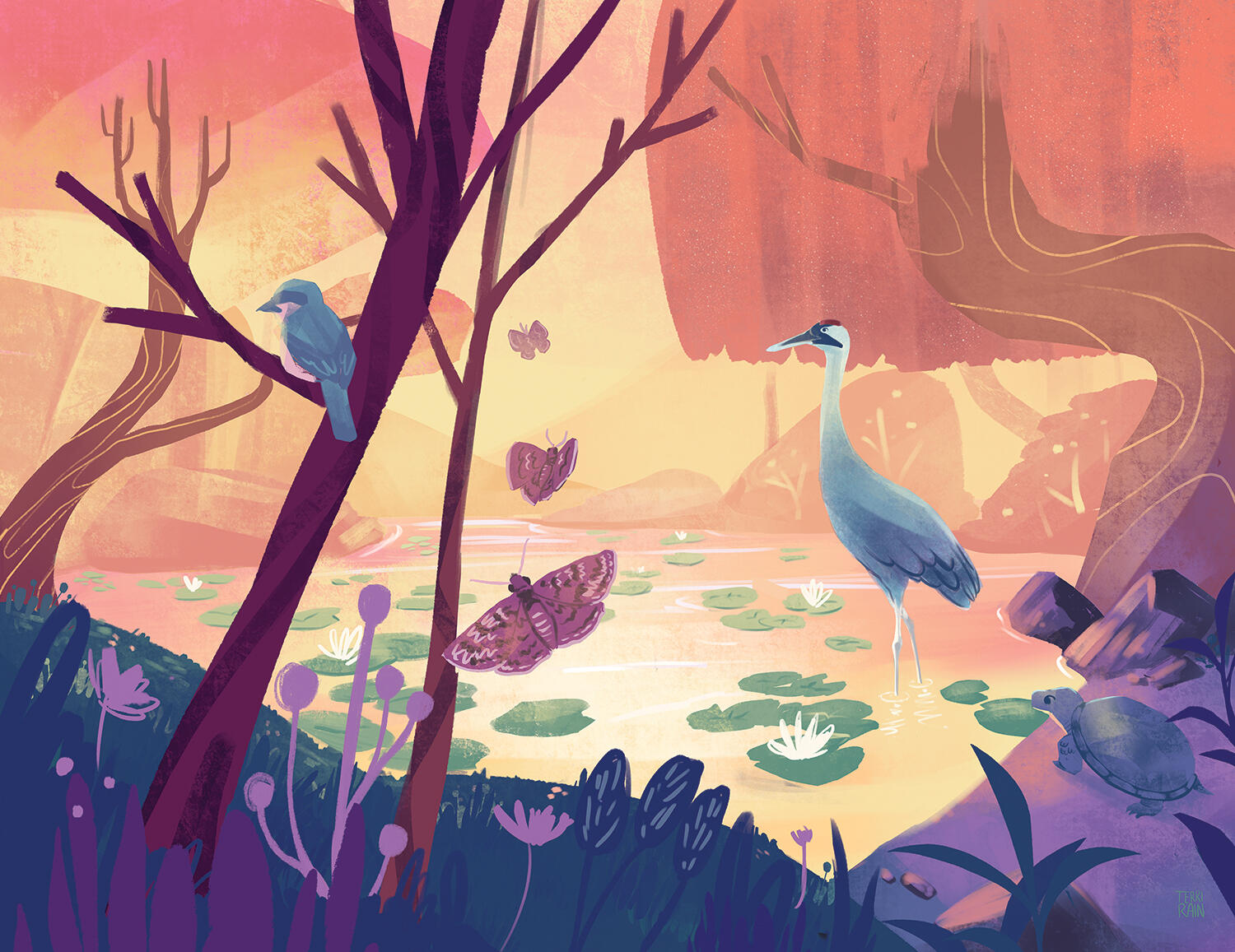 Natrue Illustration - Reason for Hope